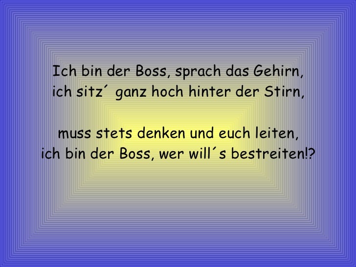 Der Boss Kann Nur Das Arschloch Sein Der Boss Kann Nur Das Arschloch Sein